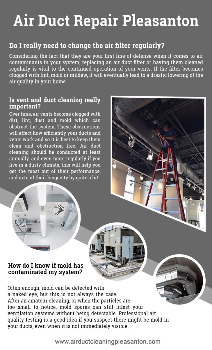 Air Duct Cleaning Pleasanton Infographic