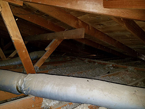 Attic Cleaning and Insulation